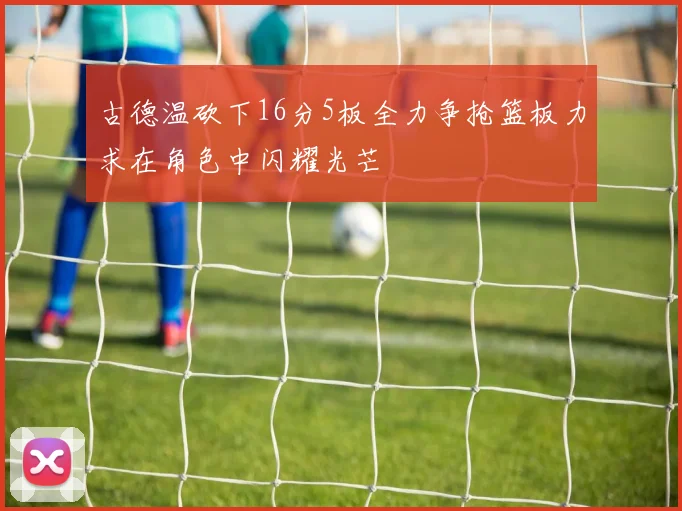 古德温砍下16分5板全力争抢篮板力求在角色中闪耀光芒
