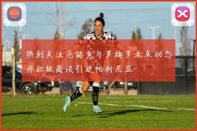 热刺关注范赫克与罗梅罗未来动态并积极商谈引进帕利尼亚